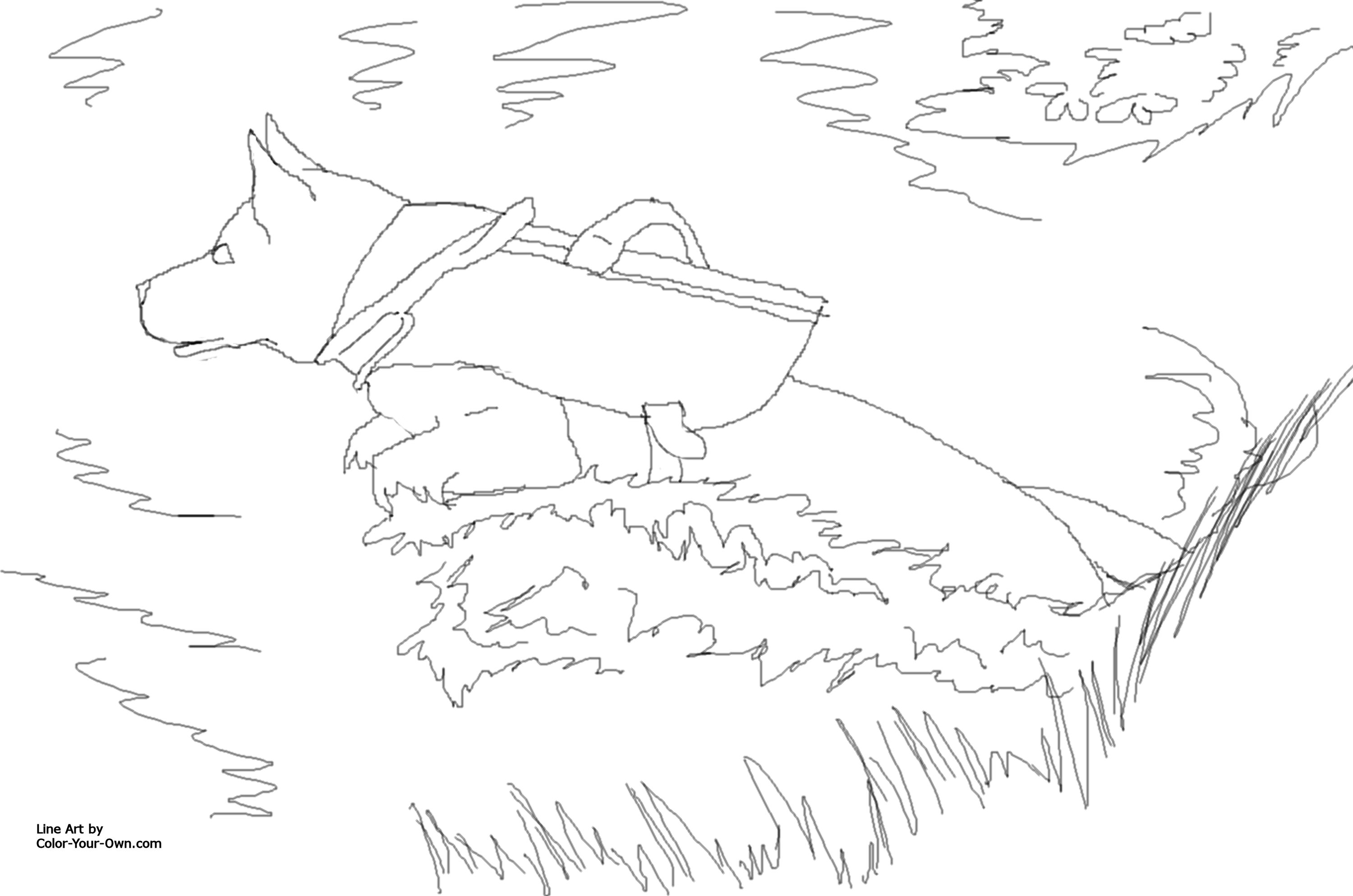 3000x1987 Human Remains Detection Service Dog Coloring Page