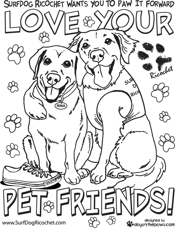 620x800 Surf Dogs Anti Bullying Campaign