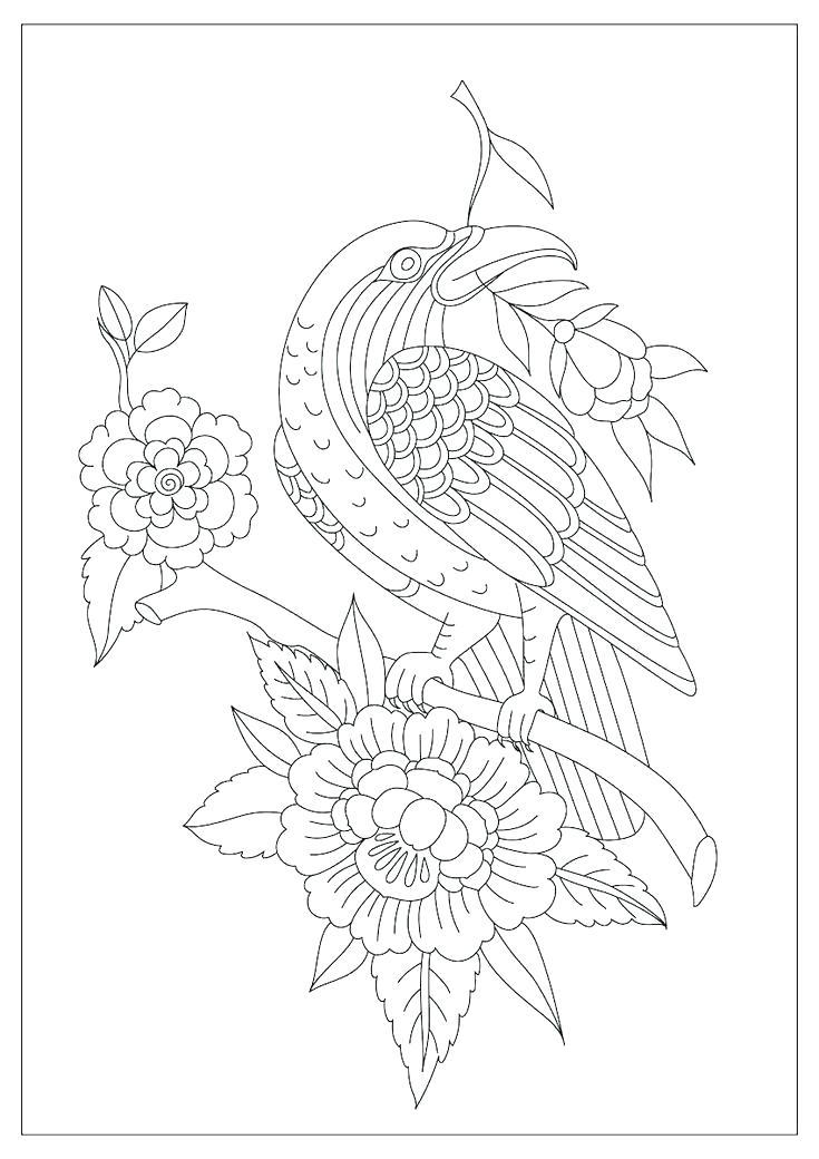 Seven Days Of Creation Coloring Pages