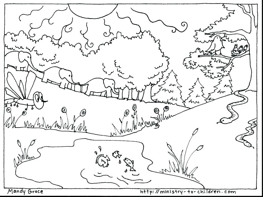 878x658 Seven Days Of Creation Color Pages Bible Coloring Page Sketch