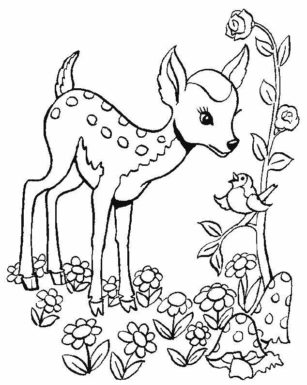 634x794 Ausmalbilder Tiere 256 Kostenlose Druckvorlagen