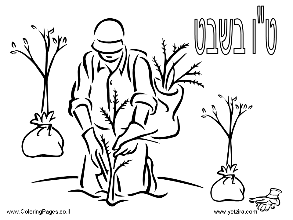 960x720 Shabbat Coloring Pages 327387