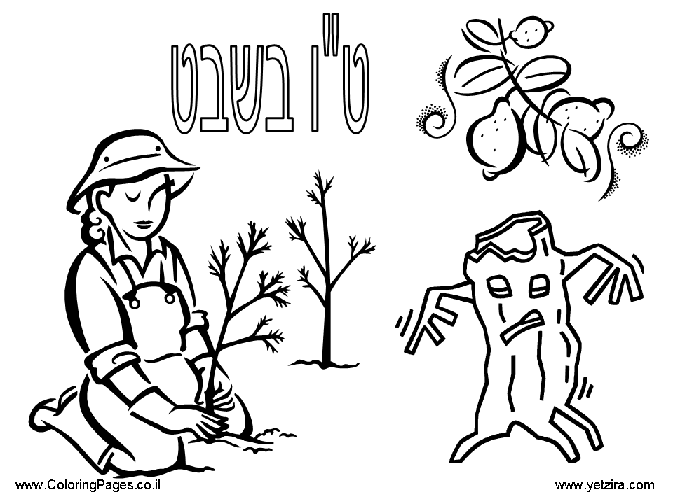 960x720 Shabbat Coloring Pages Many Interesting Cliparts