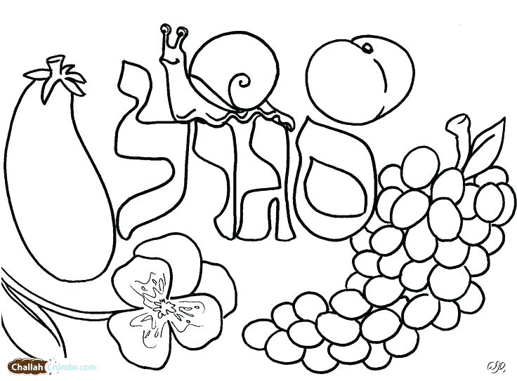 736x543 Torah Tots Coloring Pages Coloring Pages Plus Shalom Tots Coloring