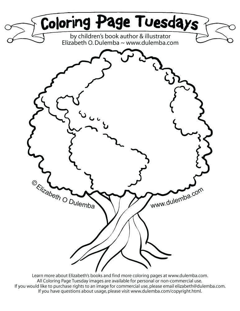 773x1000 Salt And Light Coloring Page Erf Coloring