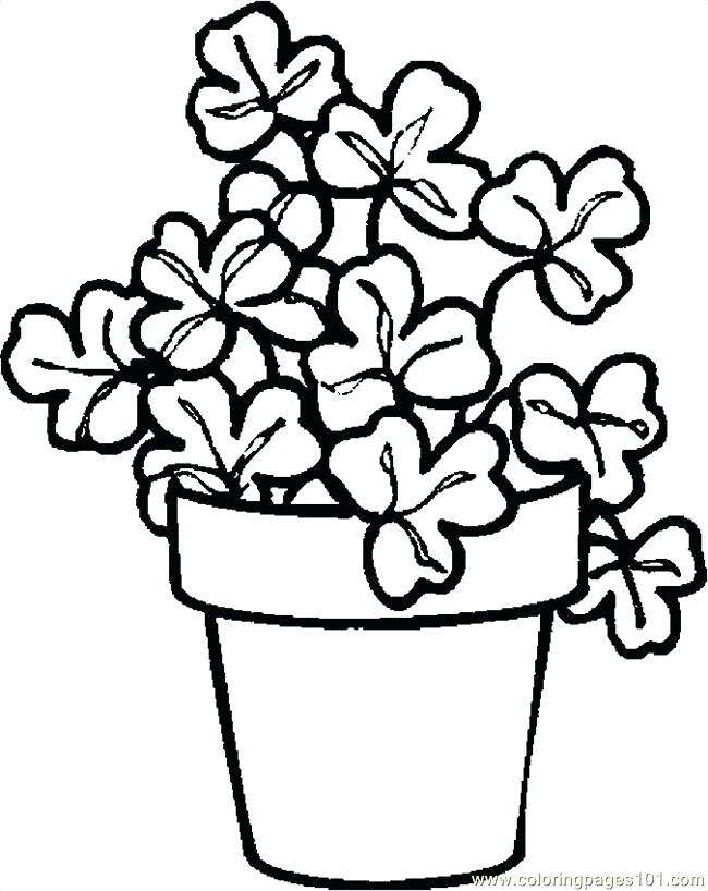 650x818 Free Shamrock Coloring Pages Download This Coloring Page Free
