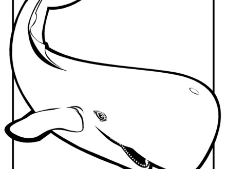 Shamu Coloring Pages