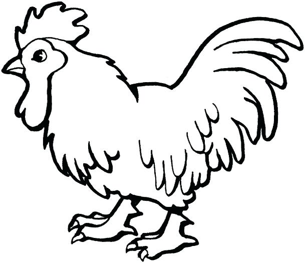 609x525 Shamu Coloring Pages Chicken Coloring Pages For Kids Printable