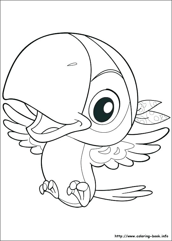 567x794 And The Pirates Coloring Pages Free And The Pirates Free Coloring