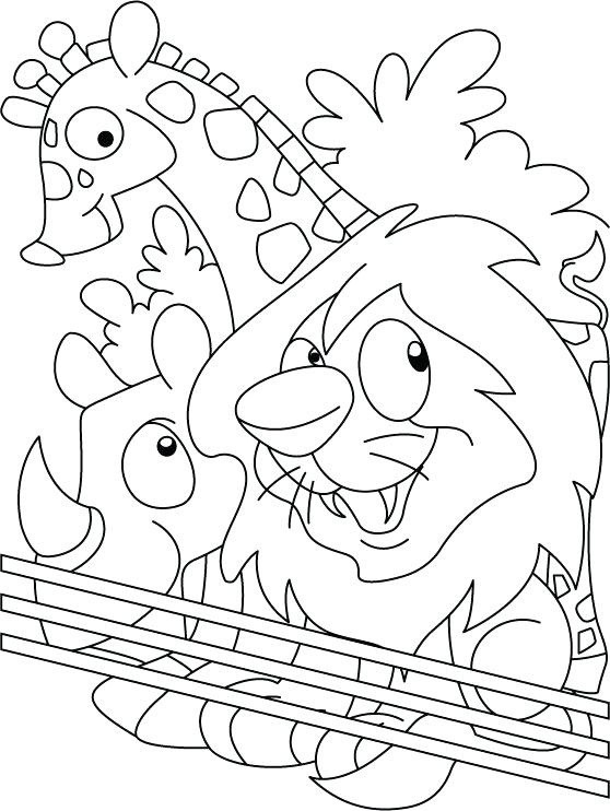 558x742 Shamu Coloring Pages Emerging Coloring Pages Killer Whale Page