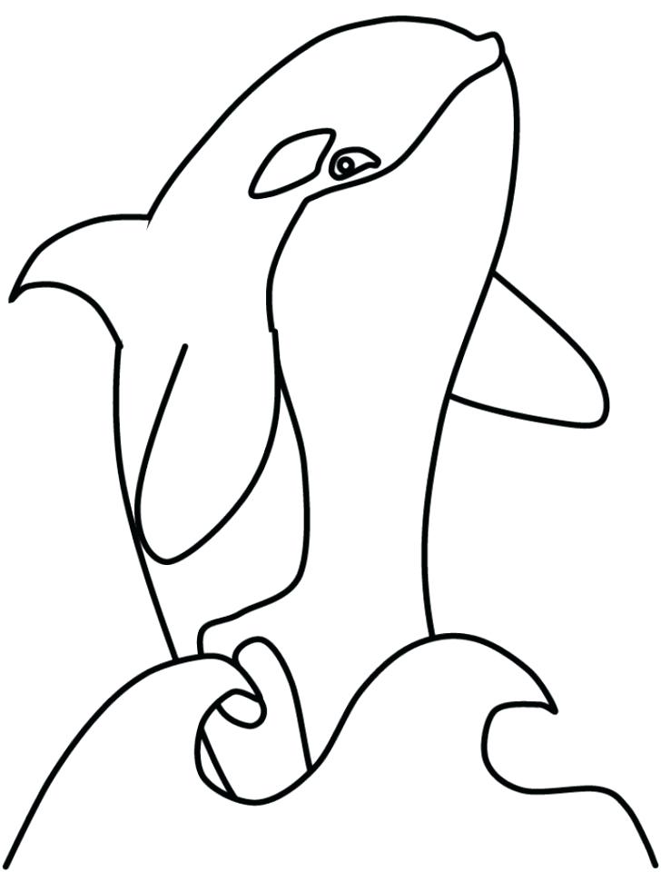 728x971 Shamu Coloring Pages Shamu Coloring Pages Medium Size Of Coloring