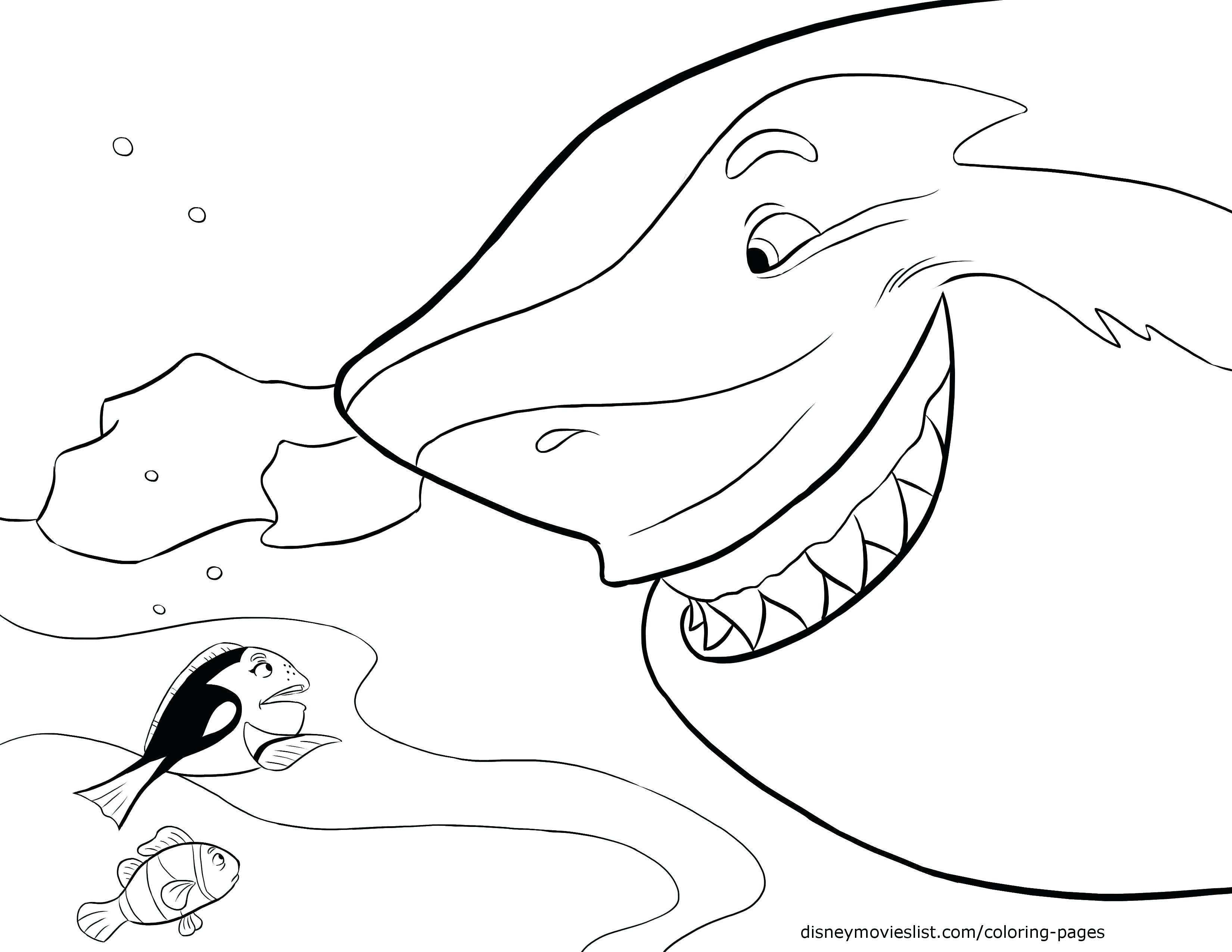 3300x2550 Pin Drawn Shark Coloring Page 6 Pages Sharks And Dolphins Sharkboy