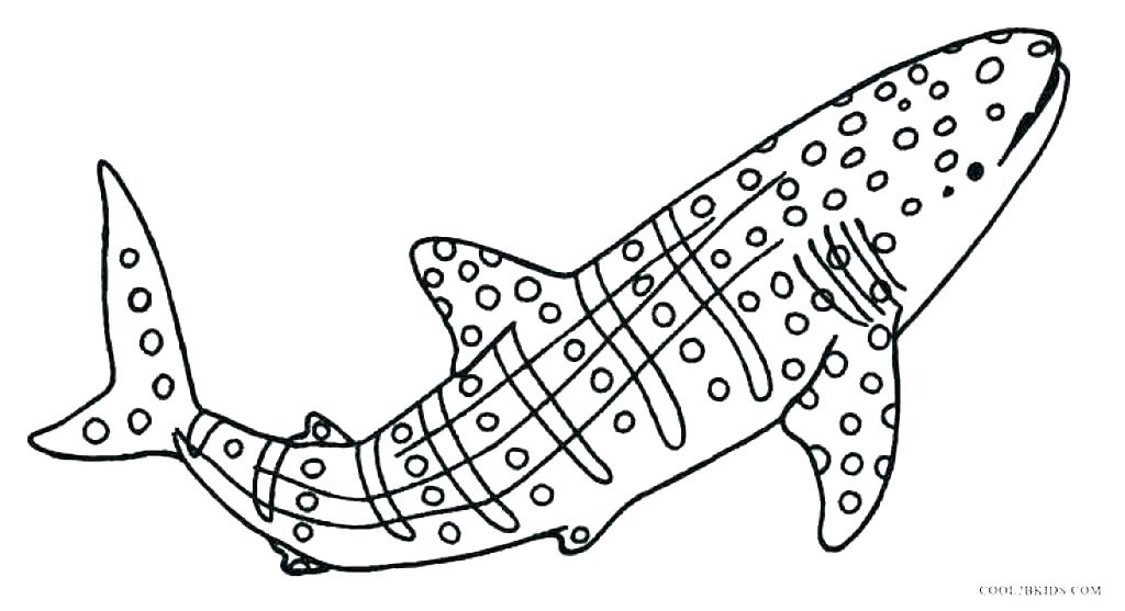 1024x557 Shark Color Pages Shark Coloring Shark Coloring Book New Great