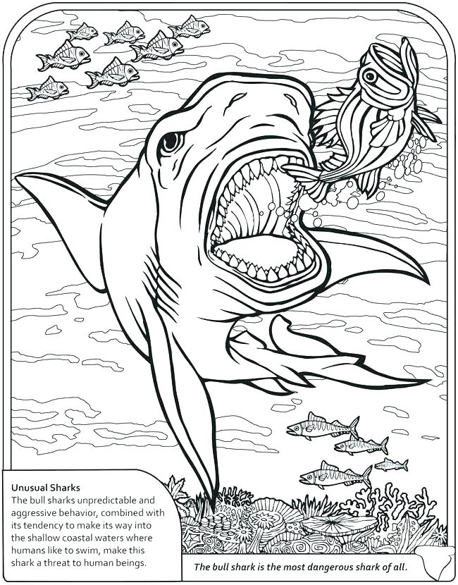650x830 Tiger Shark Coloring Pages Shark Coloring Pages Free Coloring Page