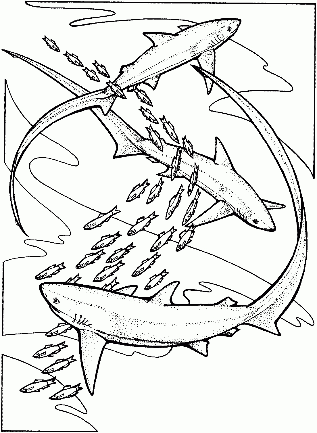 1103x1506 Unique Whale Shark Page To Color Gallery Printable Coloring Sheet