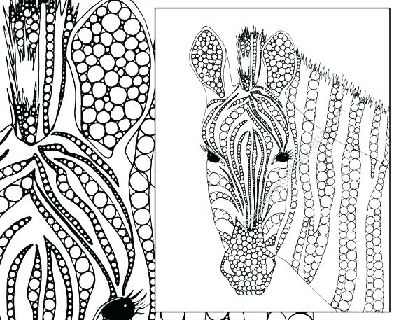 570x457 Zebra Coloring Book Together With Zebra Coloring Pages For Zebra