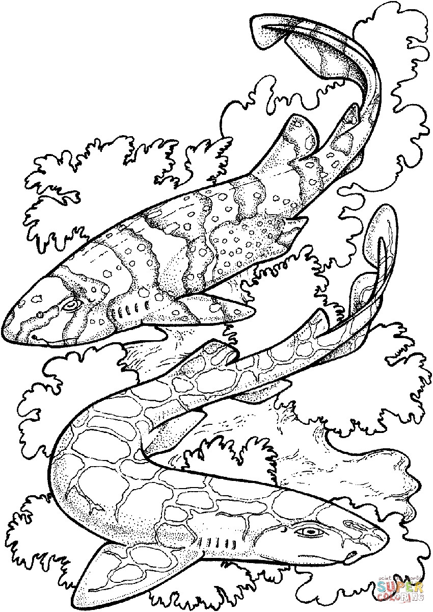 850x1200 Gigantic Printable Shark Pictures The Most Elegant Coloring Pages