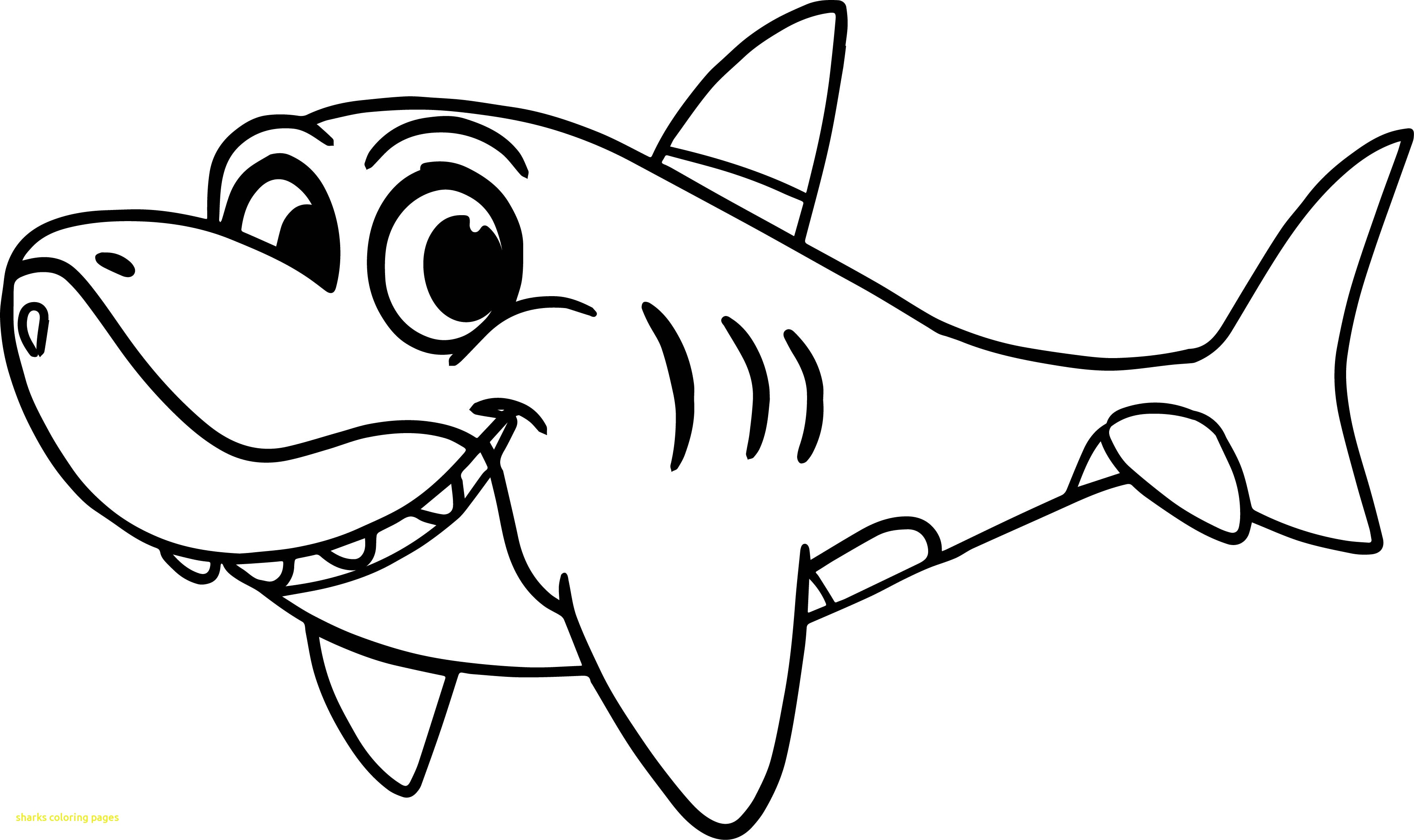 3562x2116 Hammerhead Shark Coloring Page Excellent Pages Fresh Sharks
