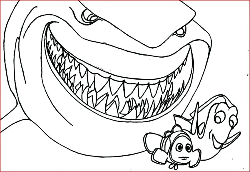 1051x721 Hammerhead Shark Coloring Pages Printable Free Sharks