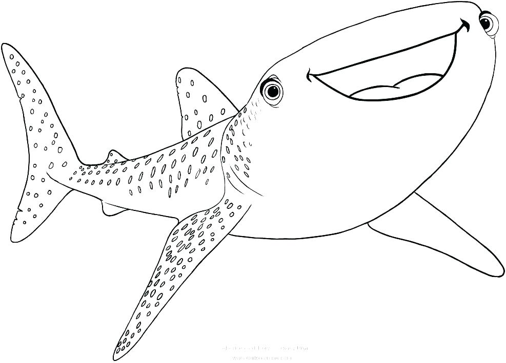 987x709 Shark Color Pages Color By Numbers Pages Tiger Shark Coloring