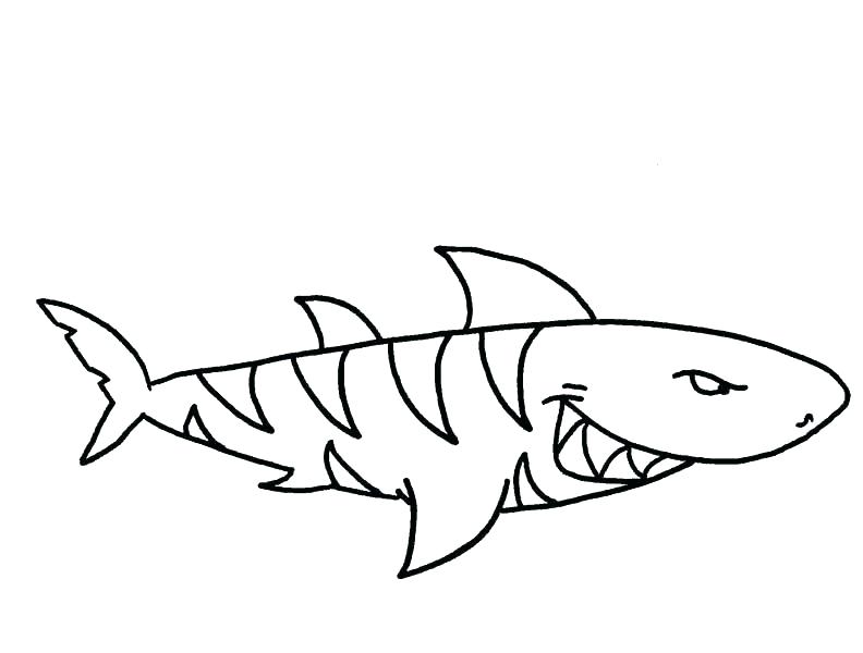 792x600 Tiger Coloring Pages Small Cute Tiger Coloring Picture For Kids