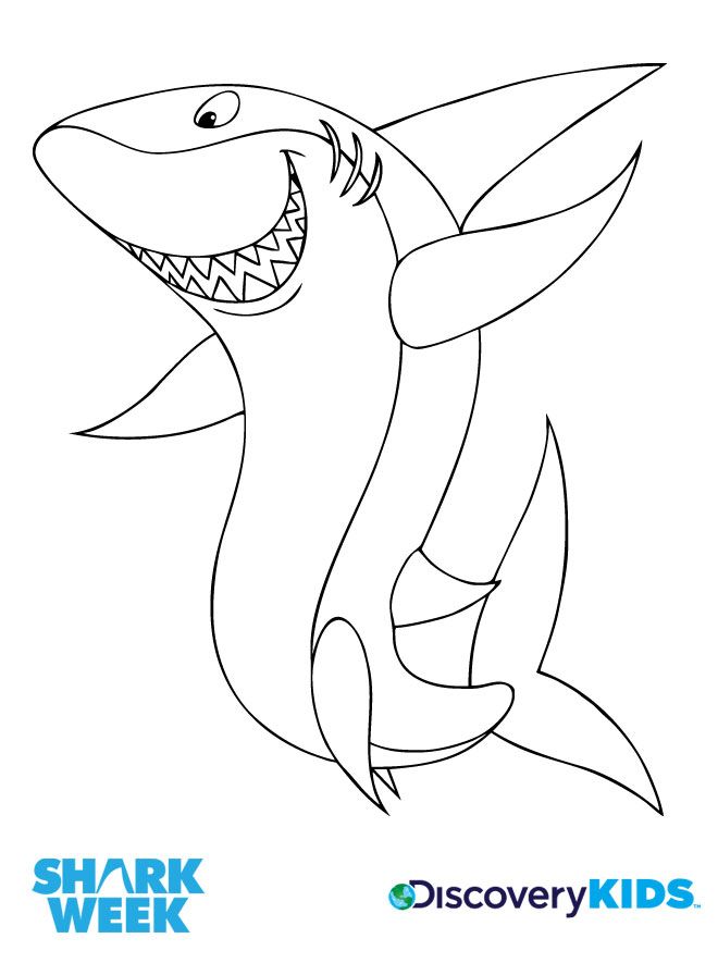 660x885 Four Little Monsters Shark Week Shark Party Ideas Shark Crafts