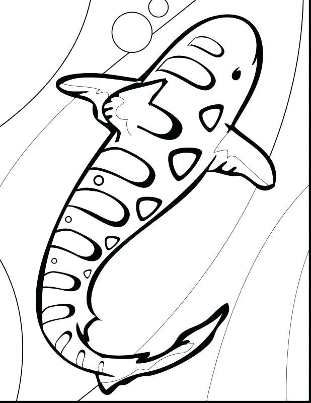 618x800 Printable Shark Coloring Pages Shark Coloring Book In Addition