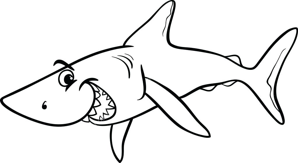 1022x558 Cartoon Shark Coloring Pages Color Bros