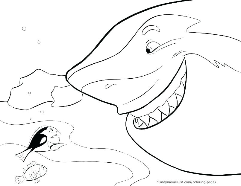 805x622 Shark Coloring Pages To Print Shark Coloring Pages Printable Great
