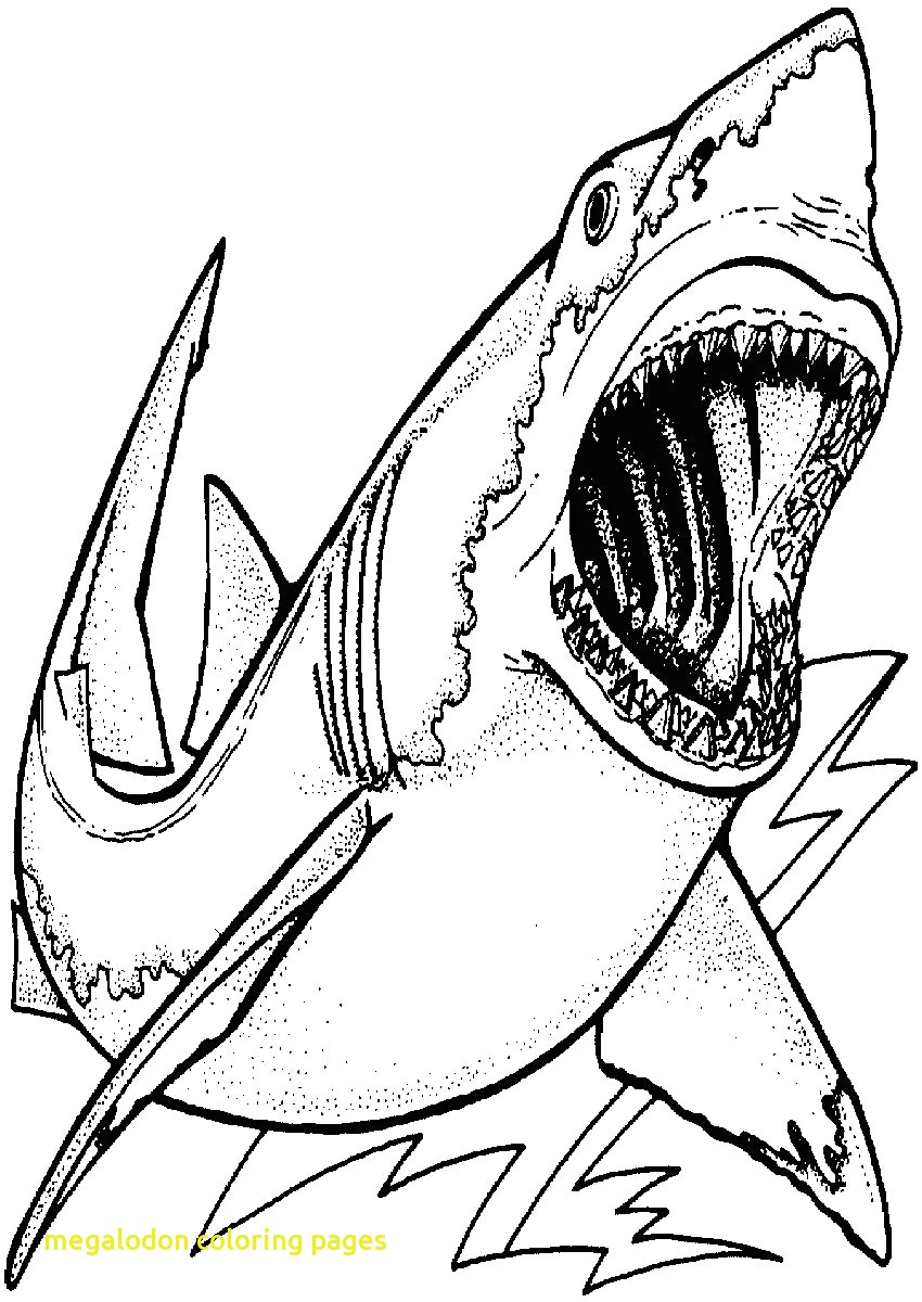 850x1200 Top Great White Shark Colouring Pages Coloring Downloadable