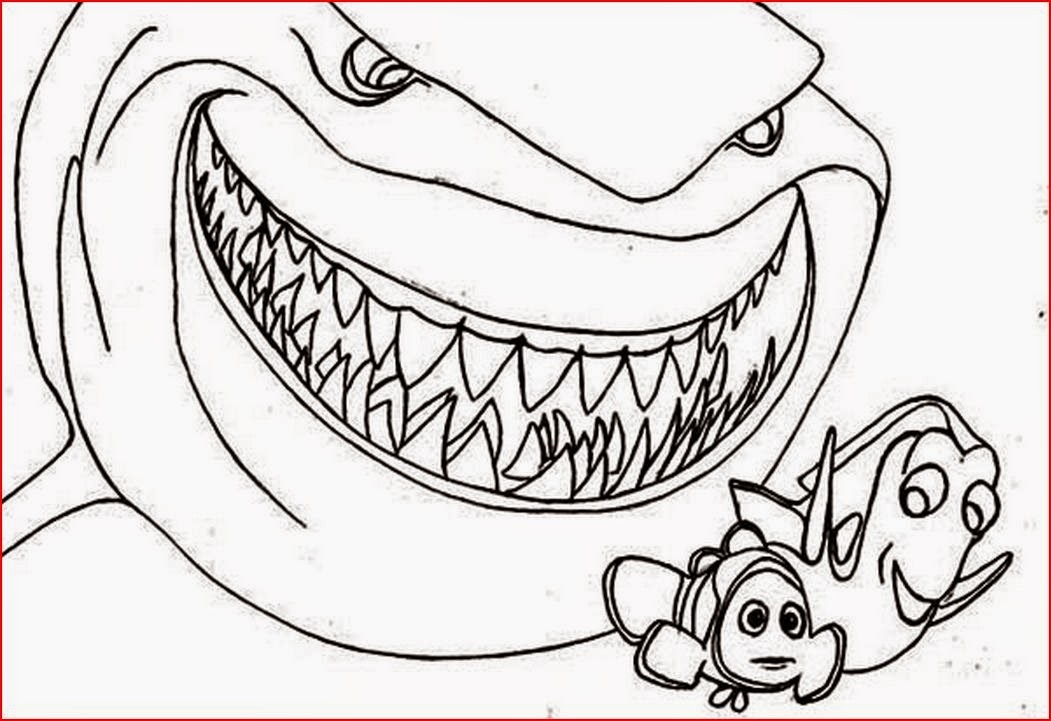 1051x721 Coloring Pages Sharks Beautiful Free Coloring Pages Of Tiger Shark