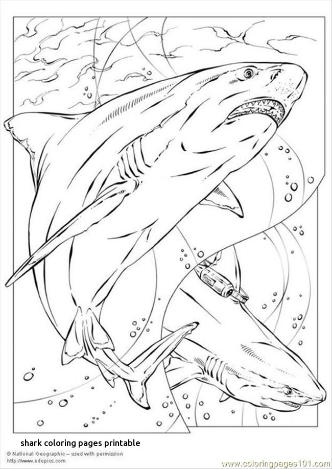 650x918 Great White Shark Pagina De Colorat Dinti Scary For Shark Coloring