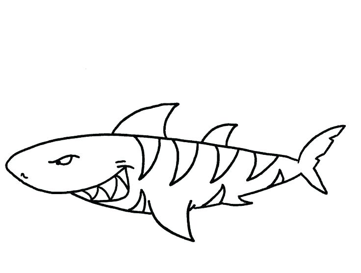 736x557 Printable Whale Shark Coloring Pages Page Of A Sharks Free Color