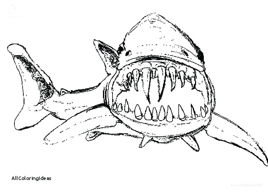 924x668 Shark Colouring Pages To Print Shark Pictures To Color And Print