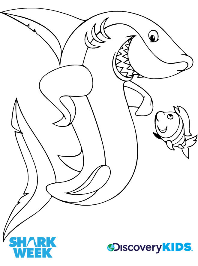 660x885 Shark Pictures To Print And Color Shark Friend Coloring Page