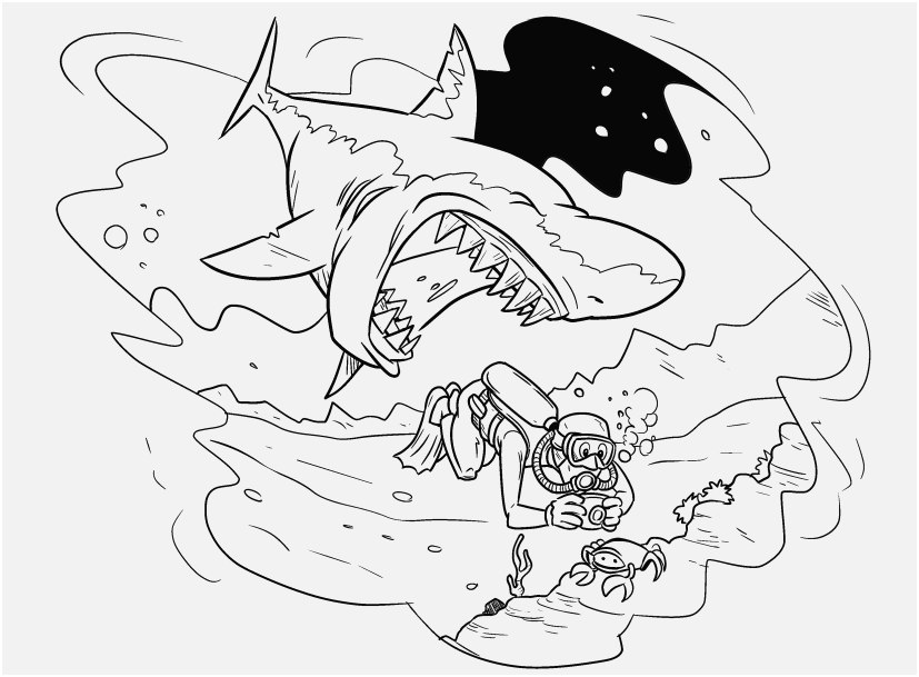 827x609 The Right Footage Great White Shark Coloring Pages Ideal