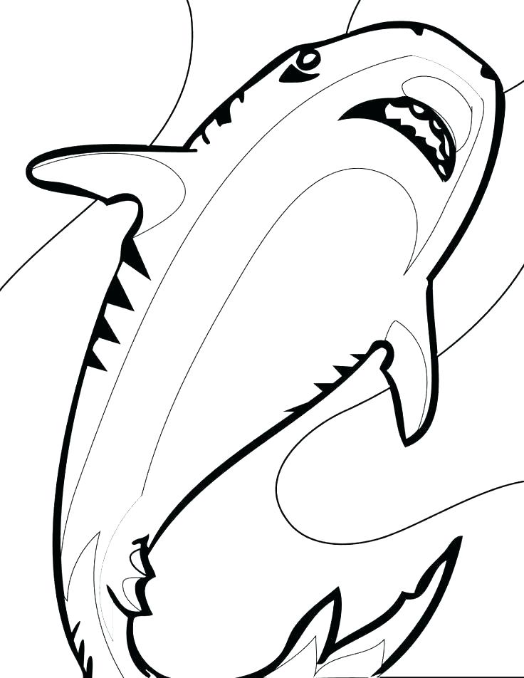 736x952 Free Printable Shark Coloring Page Kids Coloring Shark Coloring