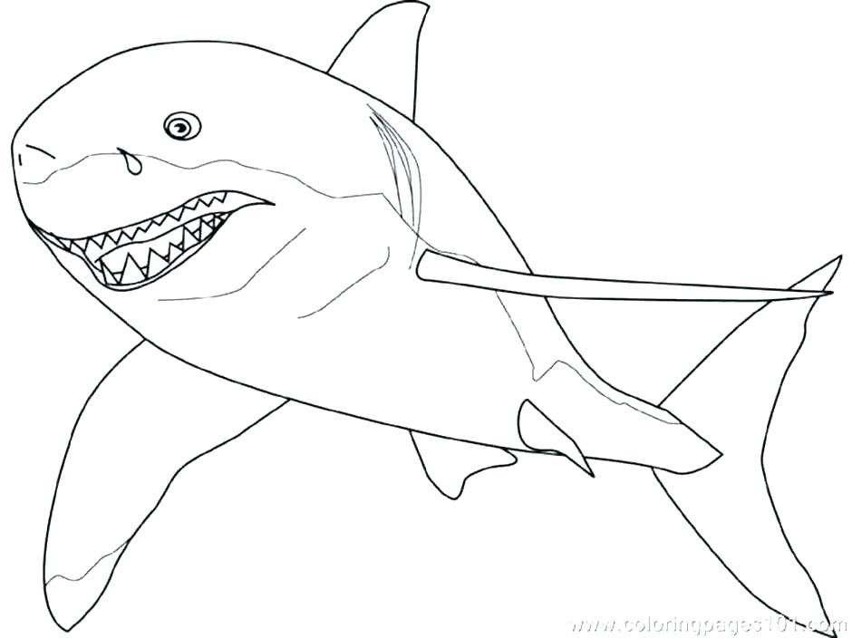 940x704 Great White Shark Outline Black Outline Shark Tattoo Design By