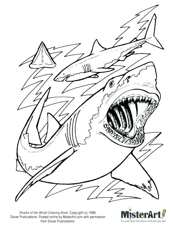 591x770 Shark Coloring Pages Printable Sharks Coloring Pages To Print Page