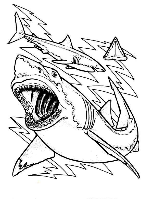600x781 Shark Teeth Coloring Pages Shark Teeth Drawing At Getdrawings Free