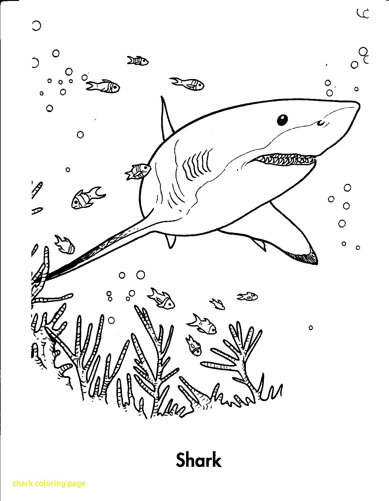 1250x1610 Articles With Sharkboy And Lavagirl Colouring Pages Tag At Shark