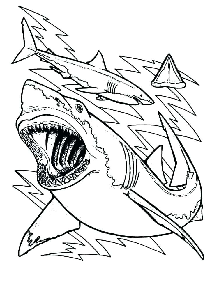 752x1000 Coloring Page Shark Free Shark Coloring Pages Coloring Page