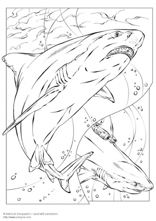 Sharknado Coloring Pages