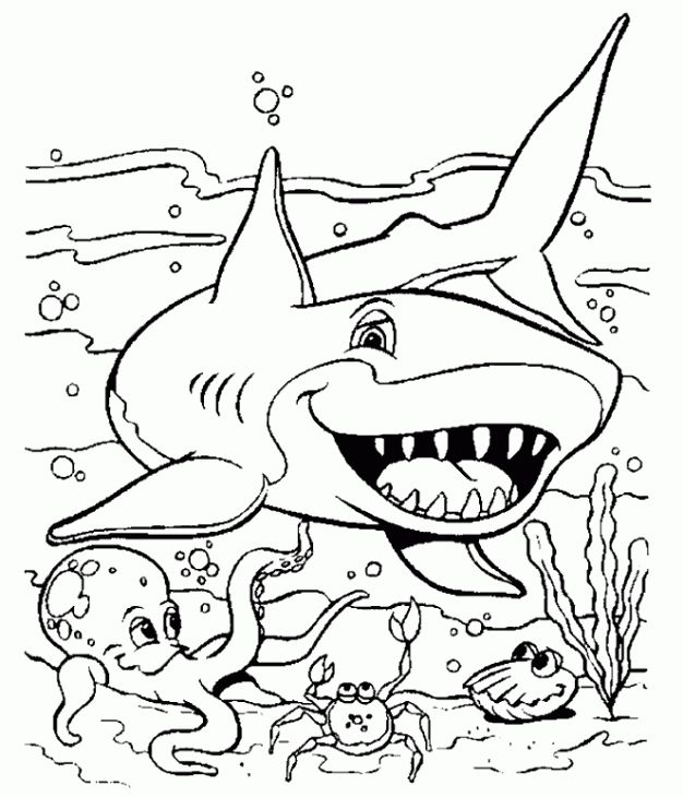 626x730 Coloring Pages Of Sharks (9 Photos)