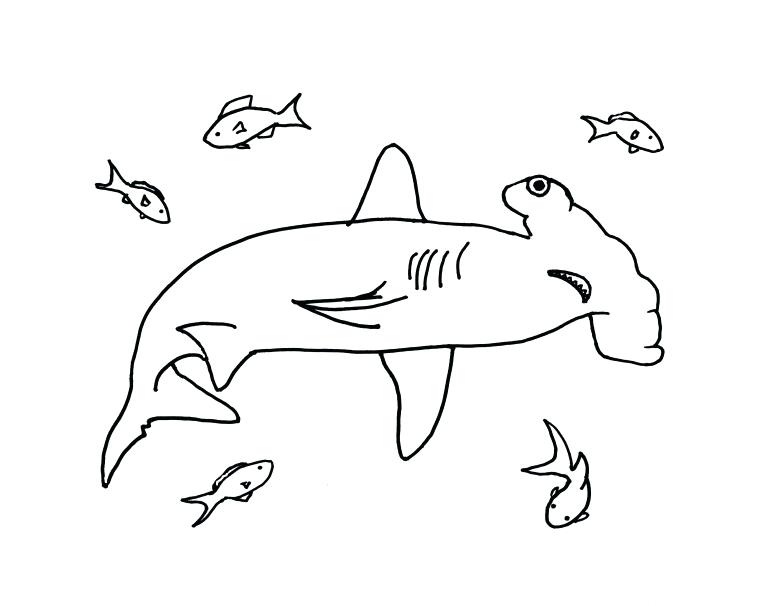 760x605 Coloring Sharknado Hammerhead Shark Coloring Page Bell Hammerhead