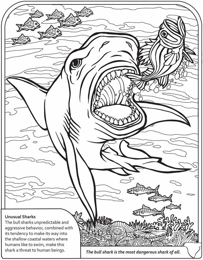 650x830 120 Best Coloring Pages Images On Coloring Books