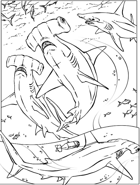 586x775 69 Best Coloring Pages For Kids! Images On Coloring