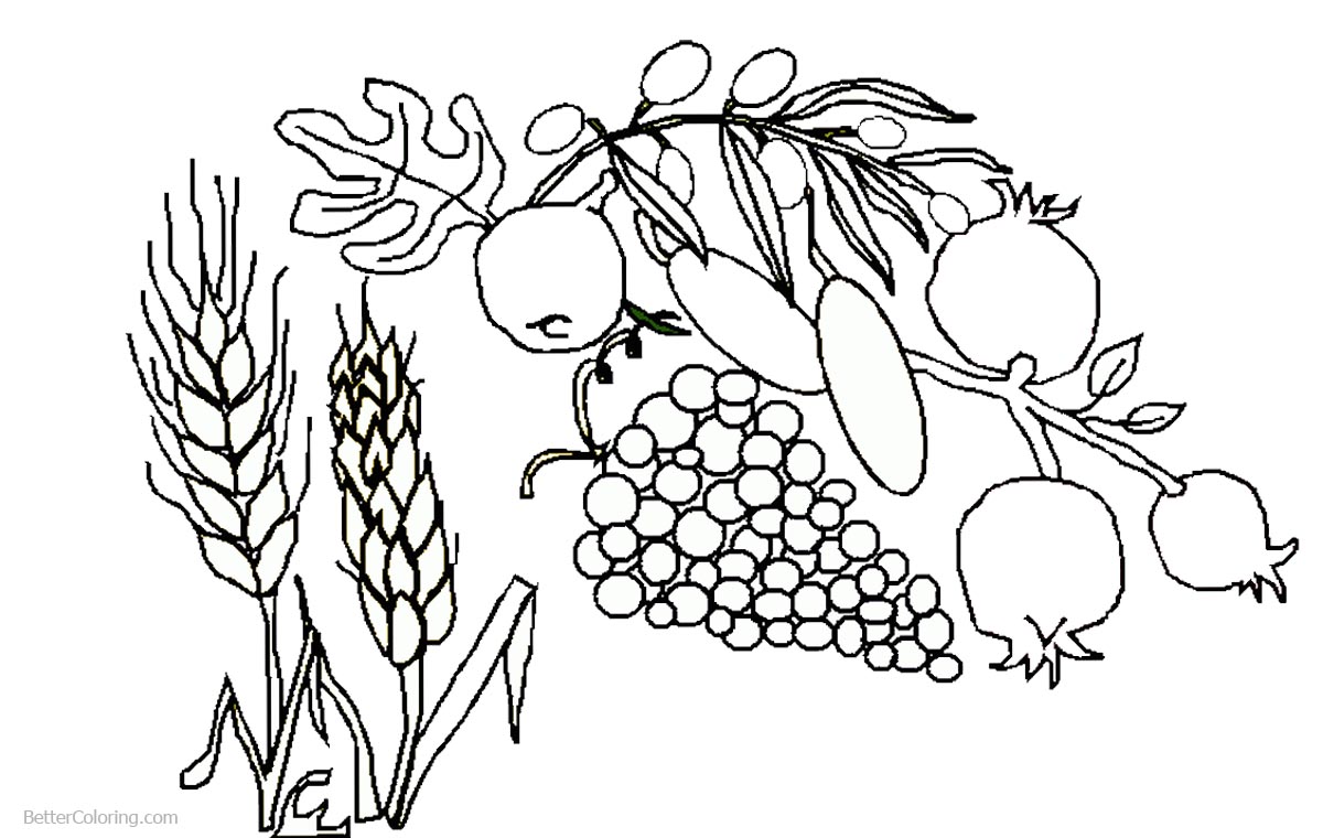 1200x760 Foods Of Shavuot Coloring Pages