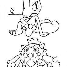 220x220 Shaymin Coloring Pages