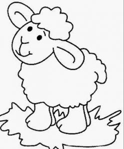 Sheep Coloring Page